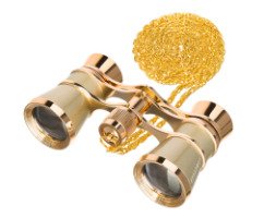 Театральный бинокль Levenhuk Broadway 325B