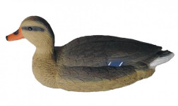 Чучело Birdland кряква плавающая (дикая утка, самка), большая